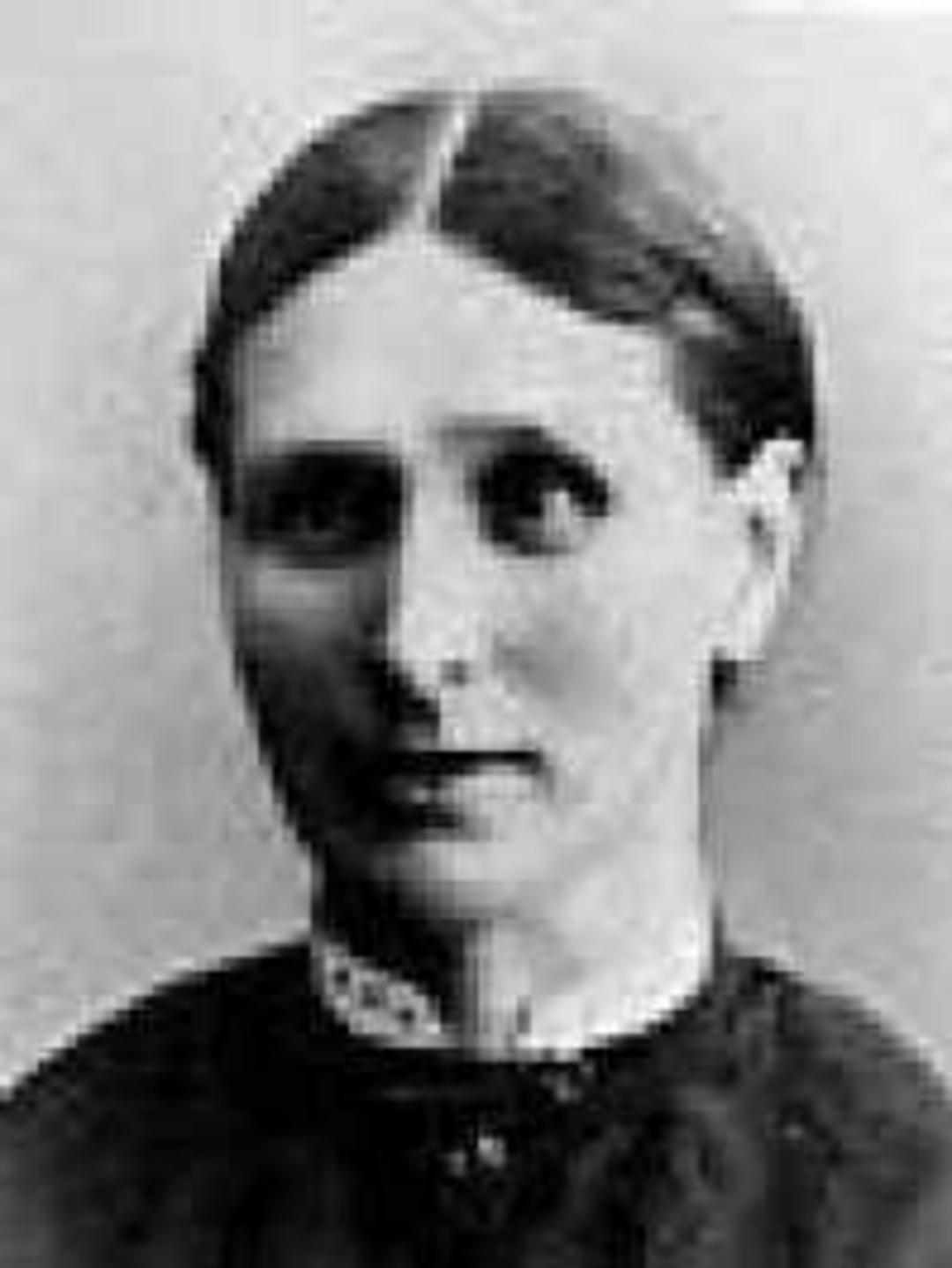 Mary Ann Harrison (1847 - 1914) Profile